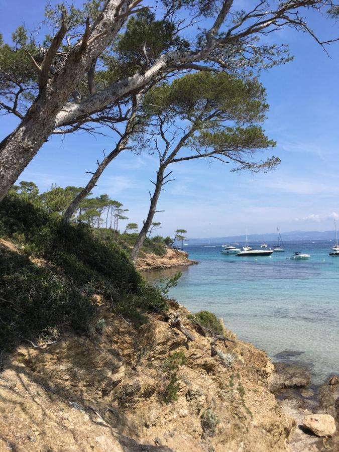 Large Private Garden, Quiet 2-Bedroom Apartment, Air Conditioning, Wifi, Parking Cassis Exterior foto
